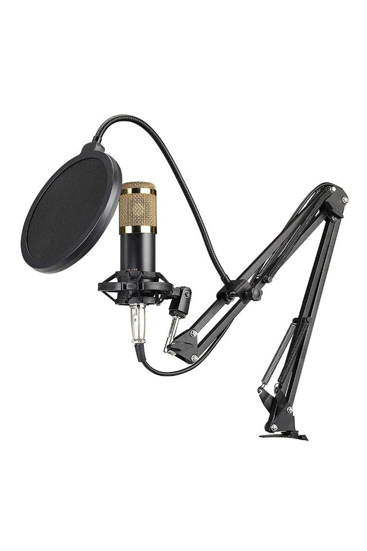 Bm600 Filtreli Condenser Mikrofon V8 Plus Ses Kartı Ve Standlı Set