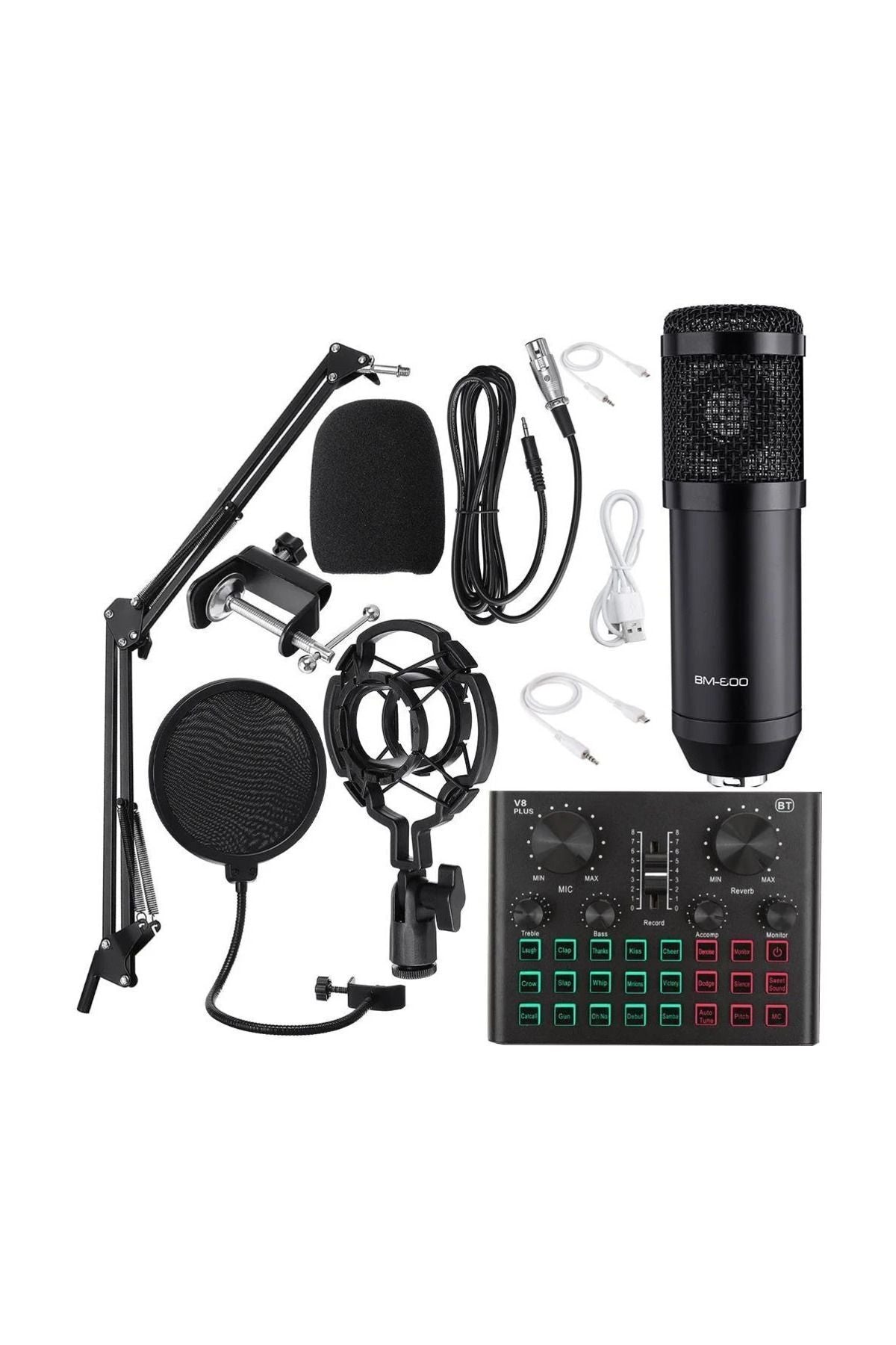 Bm600 Filtreli Condenser Mikrofon V8 Plus Ses Kartı Ve Standlı Set
