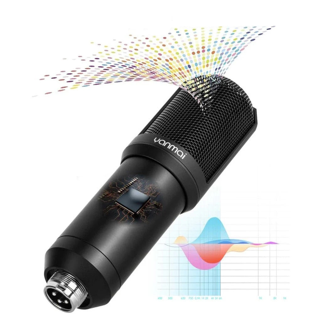 Q10 Kondansatör Mikrofon Seti - Pop Filtre, Mikrofon Standı ve Şok Aparatı Dahil