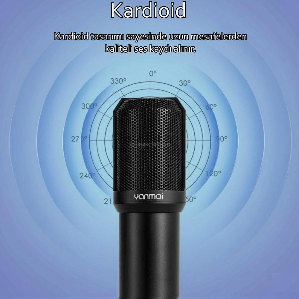 Q10 Kondansatör Mikrofon Seti - Pop Filtre, Mikrofon Standı ve Şok Aparatı Dahil