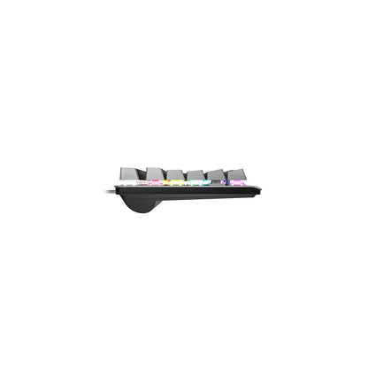 Lecoo GK304 USB Kablolu Red Switch Makro Tuşlu RGB LED Aydınlatmalı Gaming Mekanik Türkçe Q Klavye Siyah Ağırlıklı Siyah & Gri